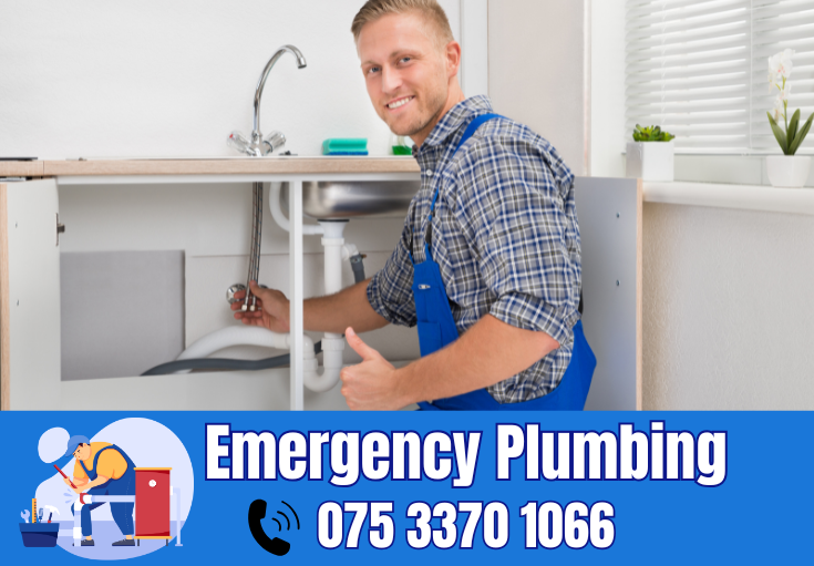  plumber Ingress Park