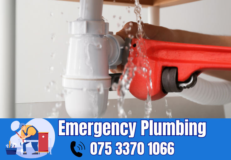  plumber Stone
